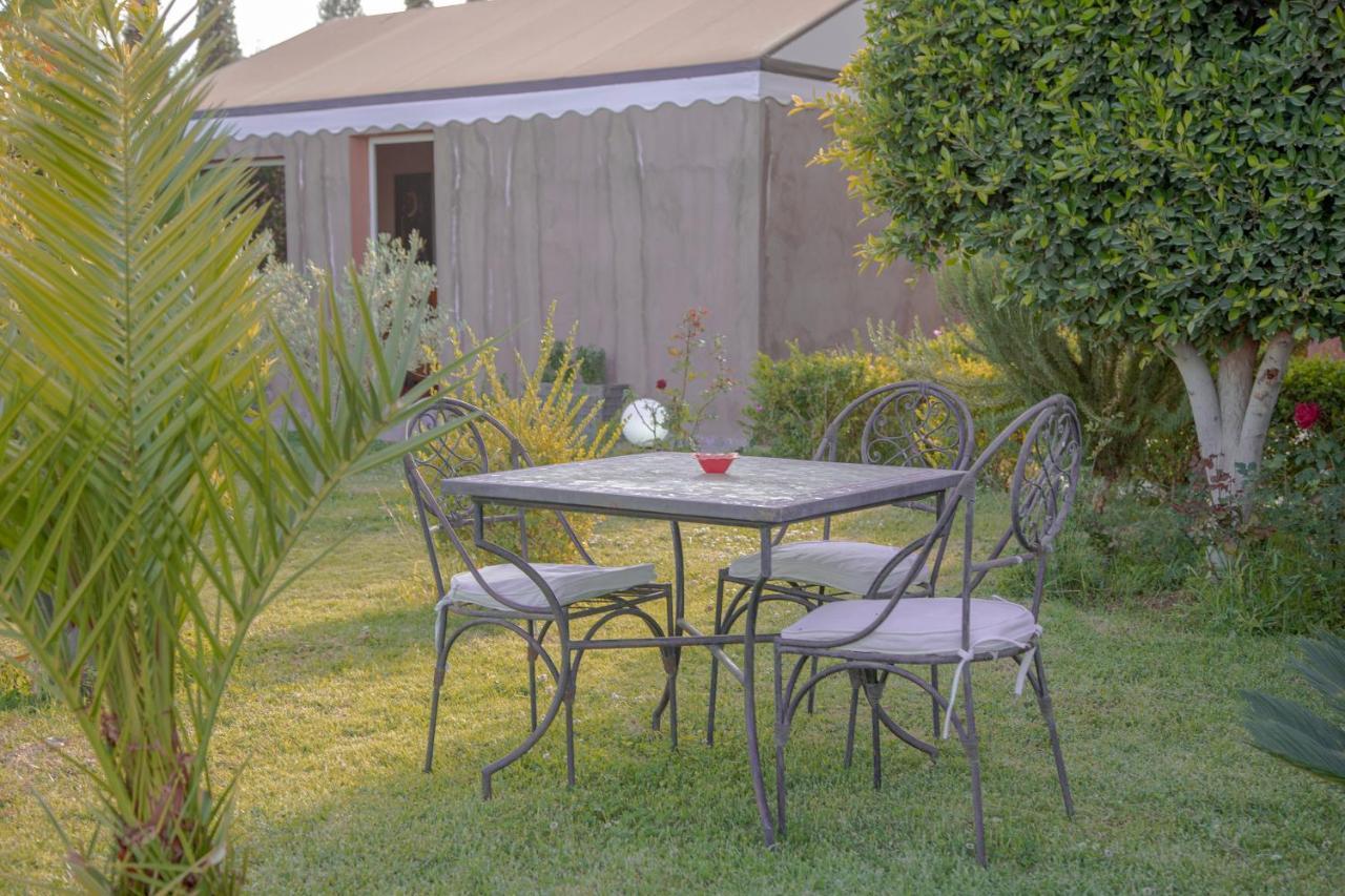 Jnanat Aicha Guesthouse Wawizelte 外观 照片
